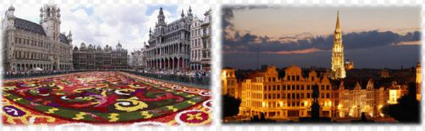 1609220702537384.jpg 3.jpg