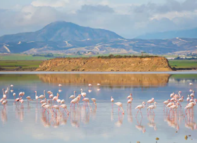 1610069611618871.png image.png