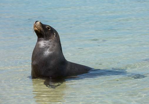 1610070031397377.jpg 299.jpg