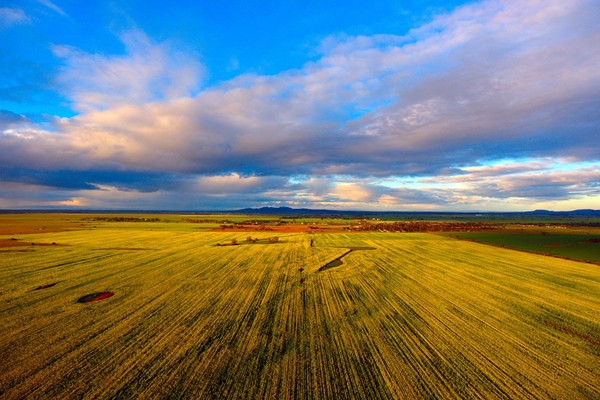 1612423717315975.jpg 2.jpg