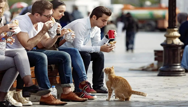 1615343233503212.jpg 5.jpg