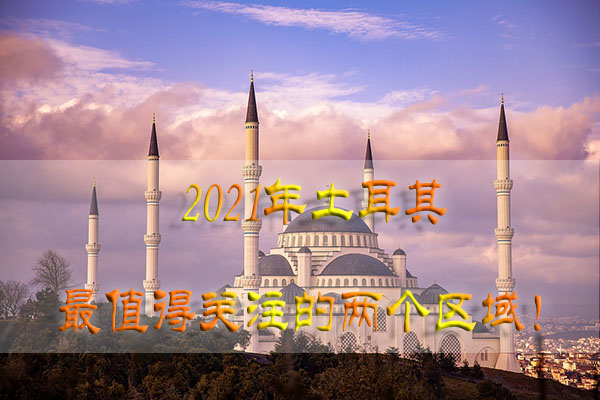 1615516175532227.jpg 29.jpg