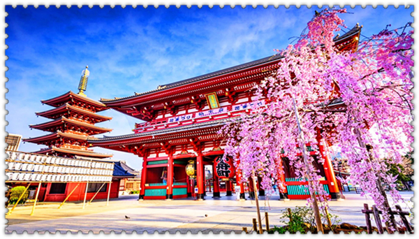 1620435502447265.jpg 3.jpg