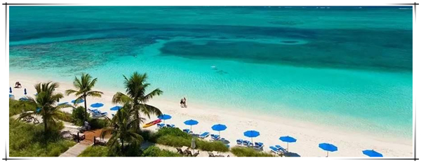 1622510136357741.jpg 2.jpg