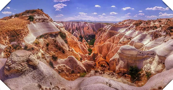 1623377251592966.jpg 3.jpg