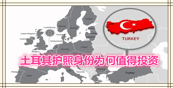 1623719345883247.jpg 1.jpg