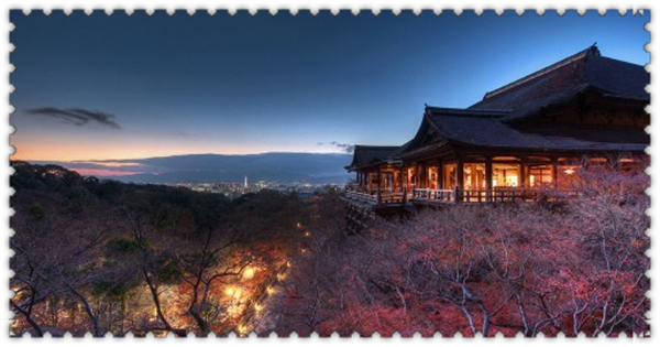 1627438564527830.jpg 2.jpg