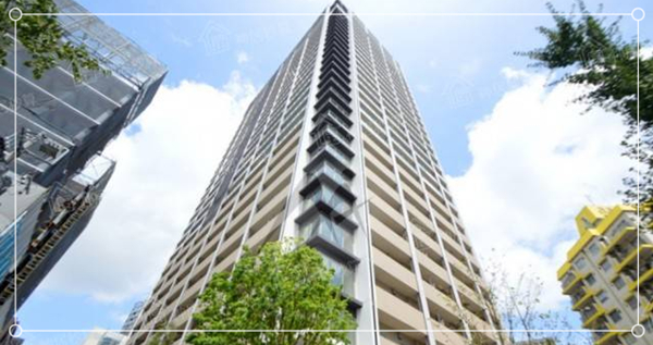 1628559884489727.jpg 3.jpg