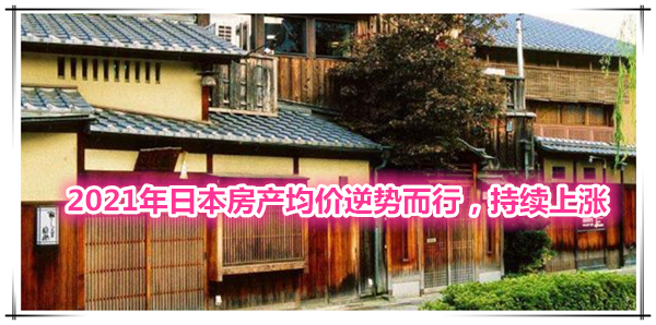 1629680531638131.jpg 1.jpg