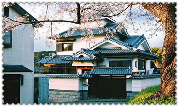 1629681631595857.jpg 2.jpg