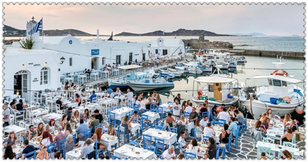 1630976719164290.jpg 1.jpg